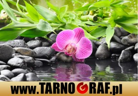 Fototapeta na wymiar - P.H.U. TARNOGRAF - Fabryka Reklamy Tarnobrzeg