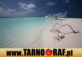 Fototapeta na wymiar - P.H.U. TARNOGRAF - Fabryka Reklamy Tarnobrzeg