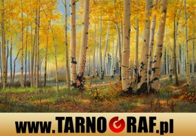 Fototapeta na wymiar - P.H.U. TARNOGRAF - Fabryka Reklamy Tarnobrzeg