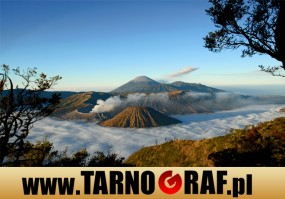 Fototapeta na wymiar - P.H.U. TARNOGRAF - Fabryka Reklamy Tarnobrzeg