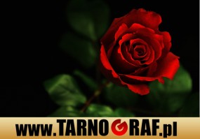 Fototapeta na wymiar - P.H.U. TARNOGRAF - Fabryka Reklamy Tarnobrzeg