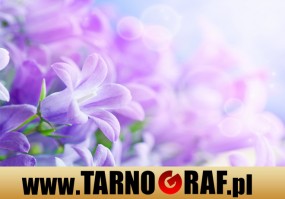 Fototapeta na wymiar - P.H.U. TARNOGRAF - Fabryka Reklamy Tarnobrzeg