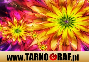 Fototapeta na wymiar - P.H.U. TARNOGRAF - Fabryka Reklamy Tarnobrzeg