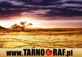 Fototapeta na wymiar - P.H.U. TARNOGRAF - Fabryka Reklamy Tarnobrzeg