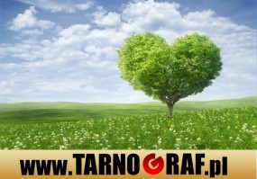 Fototapeta na wymiar - P.H.U. TARNOGRAF - Fabryka Reklamy Tarnobrzeg