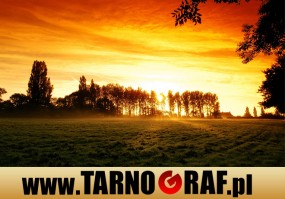 Fototapeta na wymiar - P.H.U. TARNOGRAF - Fabryka Reklamy Tarnobrzeg