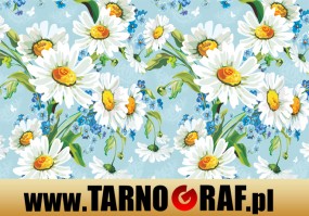 Fototapeta na wymiar - P.H.U. TARNOGRAF - Fabryka Reklamy Tarnobrzeg