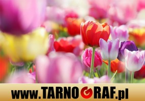 Fototapeta na wymiar - P.H.U. TARNOGRAF - Fabryka Reklamy Tarnobrzeg