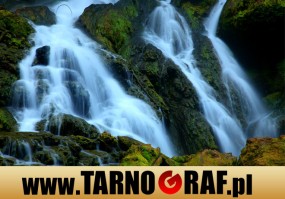 Fototapeta na wymiar - P.H.U. TARNOGRAF - Fabryka Reklamy Tarnobrzeg