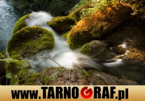 Fototapeta na wymiar - P.H.U. TARNOGRAF - Fabryka Reklamy Tarnobrzeg