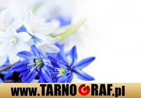 Fototapeta na wymiar - P.H.U. TARNOGRAF - Fabryka Reklamy Tarnobrzeg