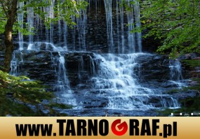 Fototapeta na wymiar - P.H.U. TARNOGRAF - Fabryka Reklamy Tarnobrzeg