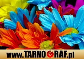 Fototapeta na wymiar - P.H.U. TARNOGRAF - Fabryka Reklamy Tarnobrzeg