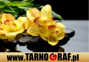 Fototapeta na wymiar - P.H.U. TARNOGRAF - Fabryka Reklamy Tarnobrzeg