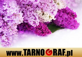 Fototapeta na wymiar - P.H.U. TARNOGRAF - Fabryka Reklamy Tarnobrzeg