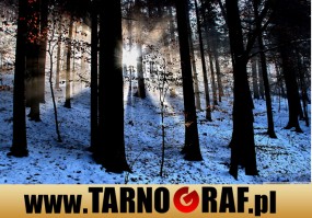 Fototapeta na wymiar - P.H.U. TARNOGRAF - Fabryka Reklamy Tarnobrzeg