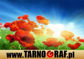 Fototapeta na wymiar - P.H.U. TARNOGRAF - Fabryka Reklamy Tarnobrzeg