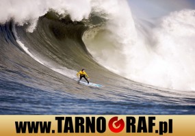 Fototapeta na wymiar - P.H.U. TARNOGRAF - Fabryka Reklamy Tarnobrzeg