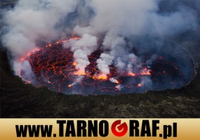 Fototapeta na wymiar - P.H.U. TARNOGRAF - Fabryka Reklamy Tarnobrzeg