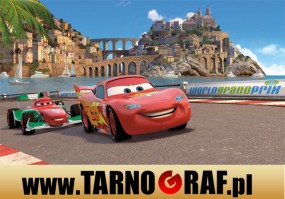 Fototapeta na wymiar - P.H.U. TARNOGRAF - Fabryka Reklamy Tarnobrzeg