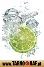 Fototapeta na wymiar - P.H.U. TARNOGRAF - Fabryka Reklamy Tarnobrzeg