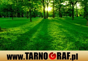 Fototapeta na wymiar - P.H.U. TARNOGRAF - Fabryka Reklamy Tarnobrzeg