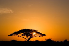 Fototapeta na wymiar - P.H.U. TARNOGRAF - Fabryka Reklamy Tarnobrzeg