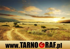 Fototapeta na wymiar - P.H.U. TARNOGRAF - Fabryka Reklamy Tarnobrzeg