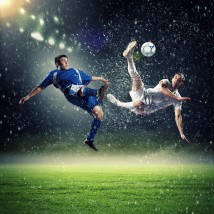 Fototapeta na wymiar - P.H.U. TARNOGRAF - Fabryka Reklamy Tarnobrzeg