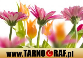 Fototapeta na wymiar - P.H.U. TARNOGRAF - Fabryka Reklamy Tarnobrzeg