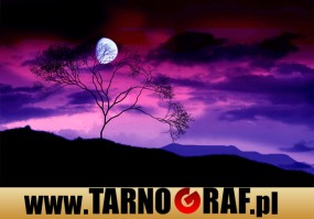 Fototapeta na wymiar - P.H.U. TARNOGRAF - Fabryka Reklamy Tarnobrzeg