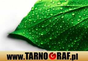 Fototapeta na wymiar - P.H.U. TARNOGRAF - Fabryka Reklamy Tarnobrzeg