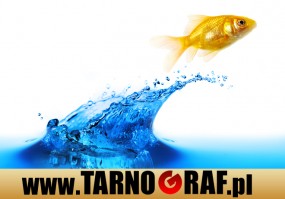 Fototapeta na wymiar - P.H.U. TARNOGRAF - Fabryka Reklamy Tarnobrzeg