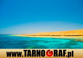 Fototapeta na wymiar - P.H.U. TARNOGRAF - Fabryka Reklamy Tarnobrzeg