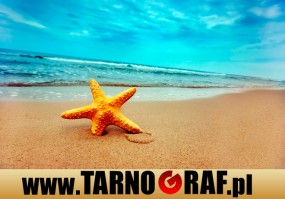 Fototapeta na wymiar - P.H.U. TARNOGRAF - Fabryka Reklamy Tarnobrzeg