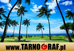 Fototapeta na wymiar - P.H.U. TARNOGRAF - Fabryka Reklamy Tarnobrzeg