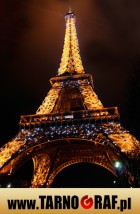 Fototapeta na wymiar - P.H.U. TARNOGRAF - Fabryka Reklamy Tarnobrzeg