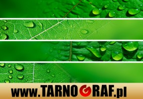 Fototapeta na wymiar - P.H.U. TARNOGRAF - Fabryka Reklamy Tarnobrzeg