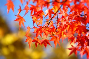 Fototapeta na wymiar - P.H.U. TARNOGRAF - Fabryka Reklamy Tarnobrzeg