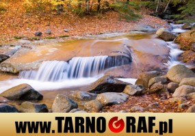 Fototapeta na wymiar - P.H.U. TARNOGRAF - Fabryka Reklamy Tarnobrzeg