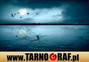 Fototapeta na wymiar - P.H.U. TARNOGRAF - Fabryka Reklamy Tarnobrzeg