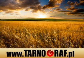 Fototapeta na wymiar - P.H.U. TARNOGRAF - Fabryka Reklamy Tarnobrzeg