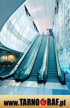 Fototapeta na wymiar - P.H.U. TARNOGRAF - Fabryka Reklamy Tarnobrzeg