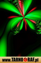 Fototapeta na wymiar - P.H.U. TARNOGRAF - Fabryka Reklamy Tarnobrzeg