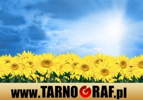 Fototapeta na wymiar - P.H.U. TARNOGRAF - Fabryka Reklamy Tarnobrzeg