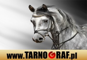 Fototapeta na wymiar - P.H.U. TARNOGRAF - Fabryka Reklamy Tarnobrzeg