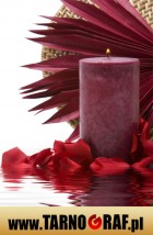 Fototapeta na wymiar - P.H.U. TARNOGRAF - Fabryka Reklamy Tarnobrzeg