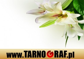 Fototapeta na wymiar - P.H.U. TARNOGRAF - Fabryka Reklamy Tarnobrzeg