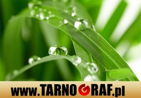 Fototapeta na wymiar - P.H.U. TARNOGRAF - Fabryka Reklamy Tarnobrzeg