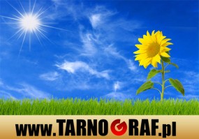 Fototapeta na wymiar - P.H.U. TARNOGRAF - Fabryka Reklamy Tarnobrzeg